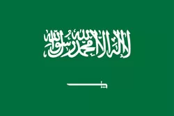 沙特阿拉伯 图标